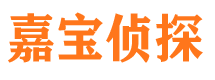 武进调查公司